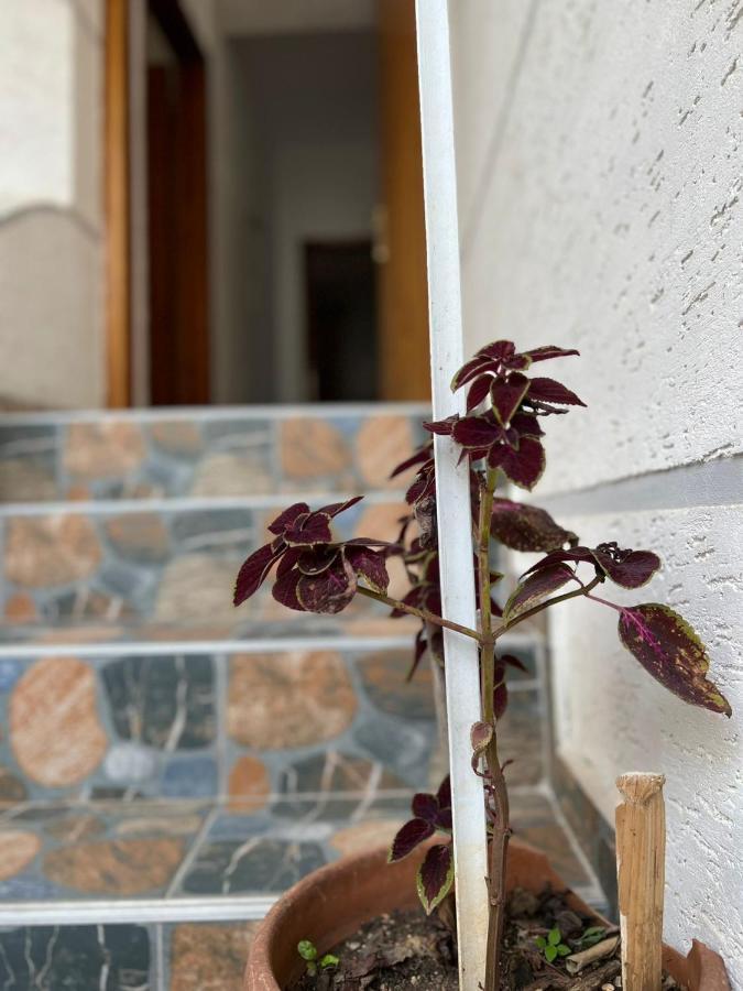 Alex Apartments Sarandë Exterior foto
